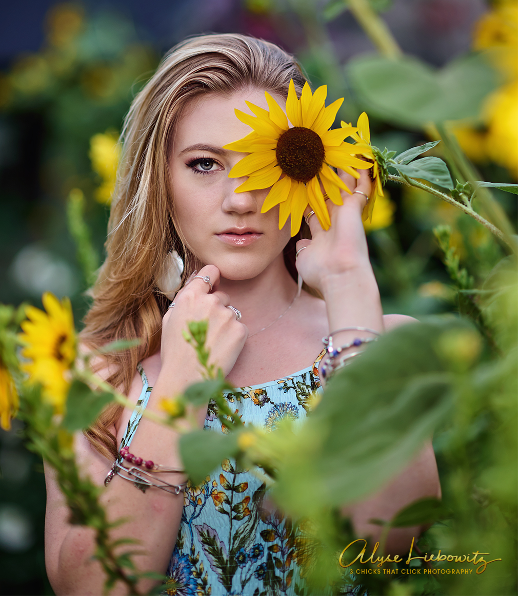Jolie in Sunflowers, photographed by 3 Chicks That Click Photography
