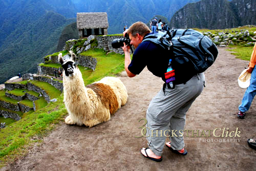 Llama and Tourist, Machu Picchu, Peru